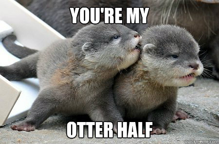 You're my Otter half  