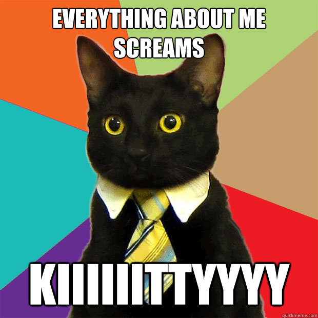 Everything about me screams kiiiiiittyyyy - Everything about me screams kiiiiiittyyyy  Business Cat