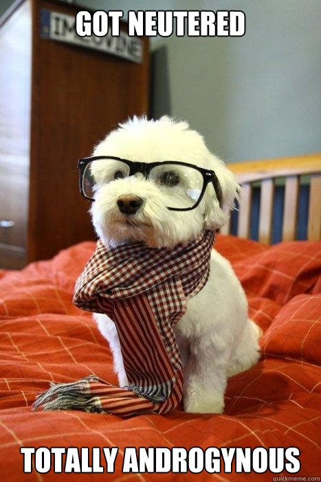 Got neutered totally androgynous Caption 3 goes here  Hipster Dog