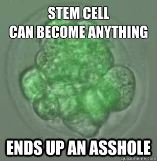 Stem cell
Can become anything Ends up an asshole  Stem cell