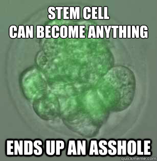 Stem cell
Can become anything Ends up an asshole  Stem cell