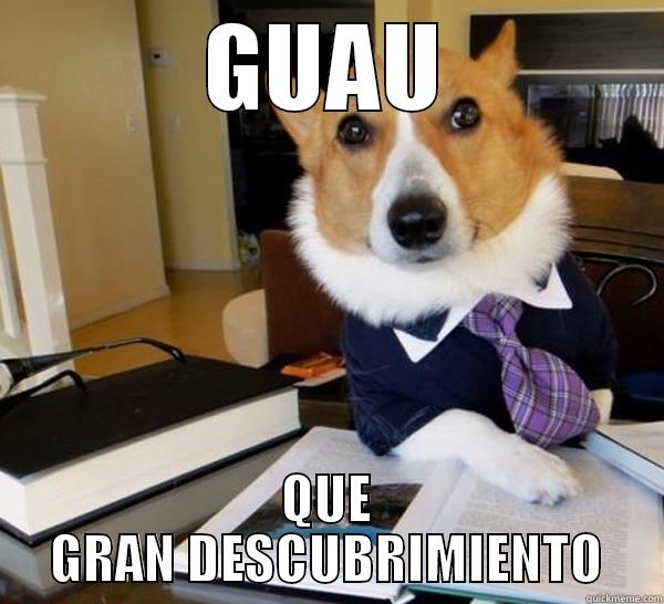 GUAU QUE GRAN DESCUBRIMIENTO Lawyer Dog