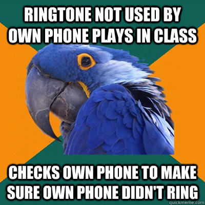 Ringtone not used by own phone plays in class Checks own phone to make sure own phone didn't ring  Paranoid Parrot
