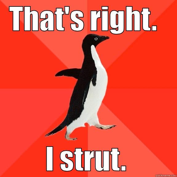 That's right... - THAT'S RIGHT.  I STRUT. Socially Awesome Penguin