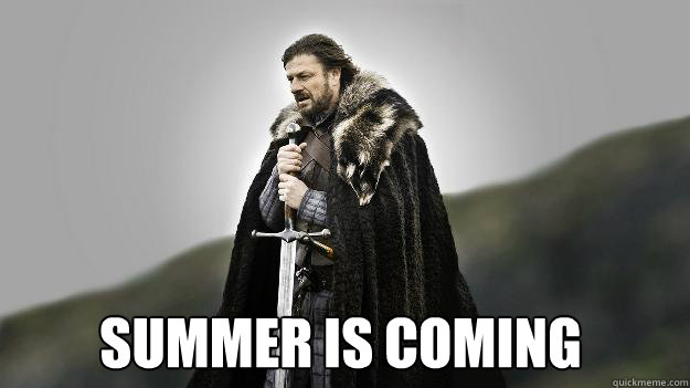  Summer is coming  Ned stark winter is coming