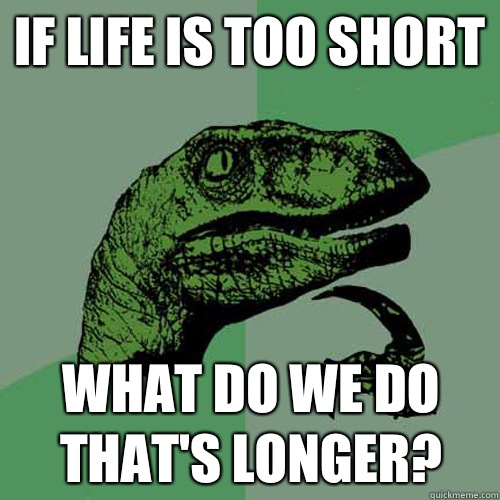if life is too short What do we do that's longer?  Philosoraptor