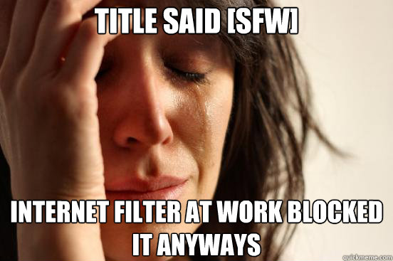 Title said [sfw] internet filter at work blocked it anyways  First World Problems