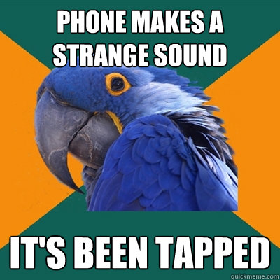 phone makes a strange sound it's been tapped  Paranoid Parrot