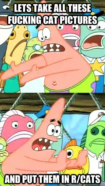 Lets take all these fucking cat pictures and put them in r/cats  Push it somewhere else Patrick
