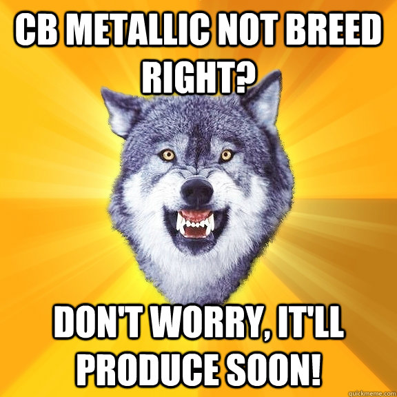 CB Metallic not breed right? Don't worry, it'll produce soon! - CB Metallic not breed right? Don't worry, it'll produce soon!  Courage Wolf