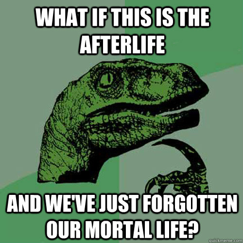 What if this is the afterlife And we've just forgotten our mortal life?  Philosoraptor