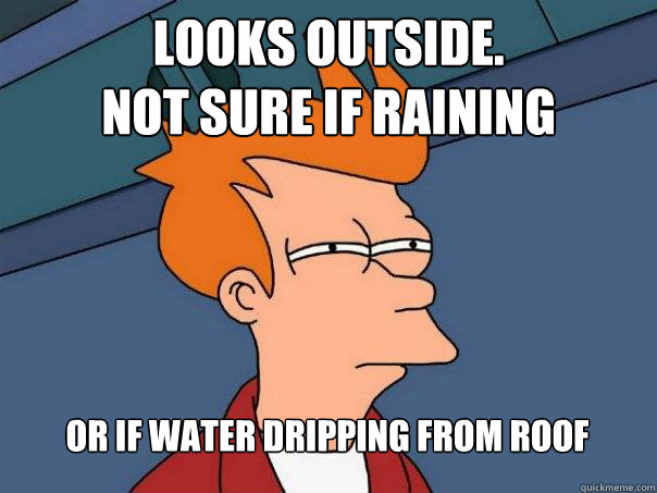Looks outside. 
Not sure if raining or if water dripping from roof  Futurama Fry