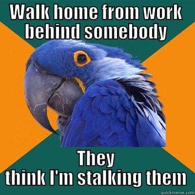 Walk home from work behind somebody, they think I'm stalking them... - WALK HOME FROM WORK BEHIND SOMEBODY THEY THINK I'M STALKING THEM Paranoid Parrot