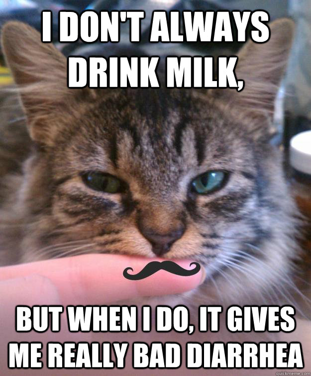 I don't always drink milk, but when I do, it gives me really bad diarrhea  The Most Interesting Cat in the World