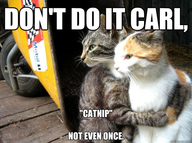 Don't do it Carl, 