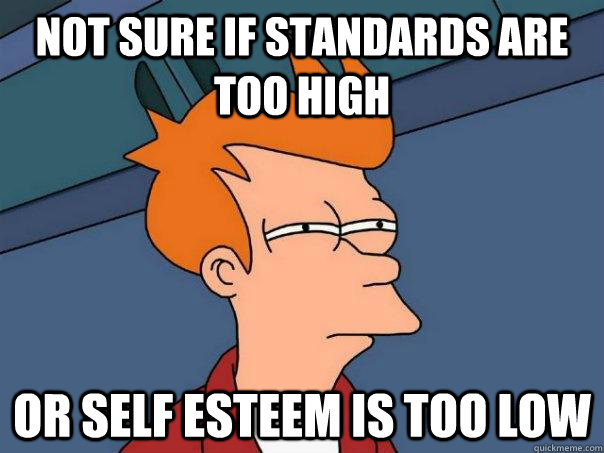 Not sure if standards are too high or self esteem is too low  FuturamaFry