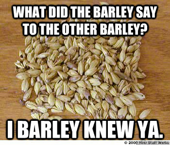 What did the barley say to the other barley? I barley knew ya. - What did the barley say to the other barley? I barley knew ya.  Barley Barley