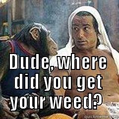 Grandmas boy donte -  DUDE, WHERE DID YOU GET YOUR WEED?  Misc