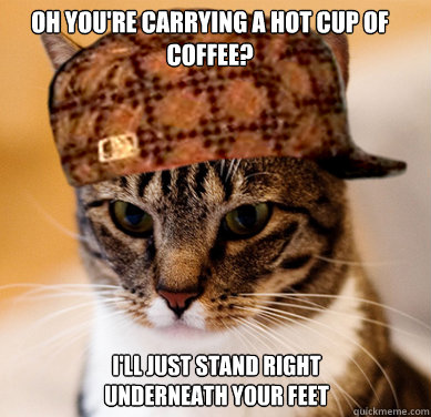 Oh you're carrying a hot cup of coffee? I'll just stand right underneath your feet  Scumbag Cat