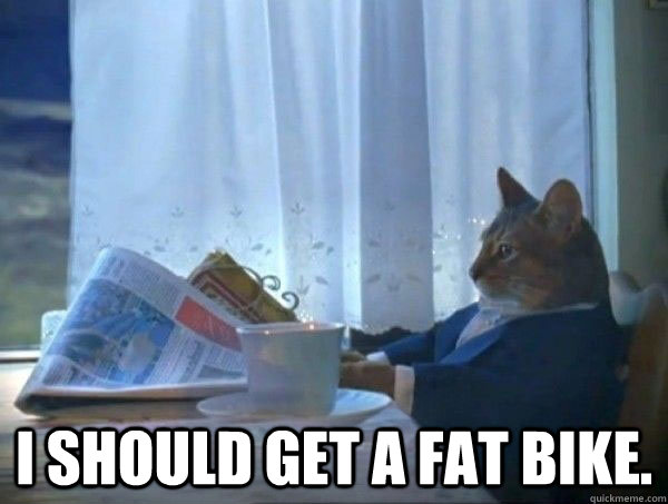  I should get a fat bike. -  I should get a fat bike.  morning realization newspaper cat meme