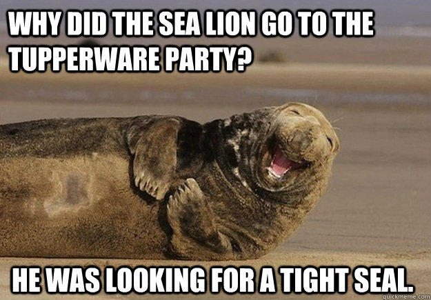 Why did the sea lion go to the Tupperware party? He was looking for a tight seal.  - Why did the sea lion go to the Tupperware party? He was looking for a tight seal.   Sea Lion Brian