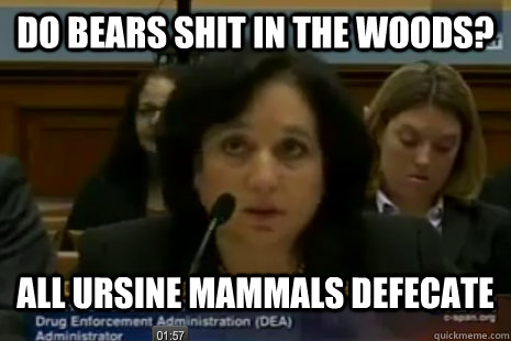 Do bears shit in the woods? All ursine mammals defecate - Do bears shit in the woods? All ursine mammals defecate  Dea Administrator Logic