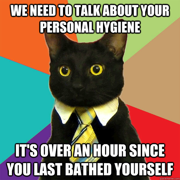 we need to talk about your personal hygiene It's over an hour since you last bathed yourself - we need to talk about your personal hygiene It's over an hour since you last bathed yourself  Business Cat