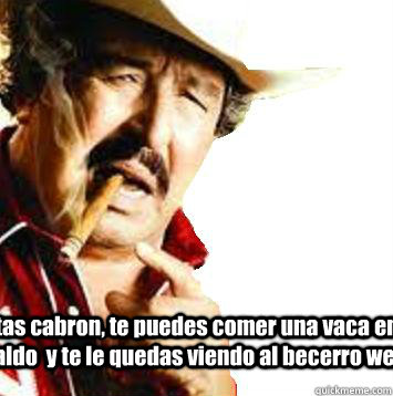 tas cabron, te puedes comer una vaca en caldo  y te le quedas viendo al becerro wey!  - tas cabron, te puedes comer una vaca en caldo  y te le quedas viendo al becerro wey!   viejo paulino