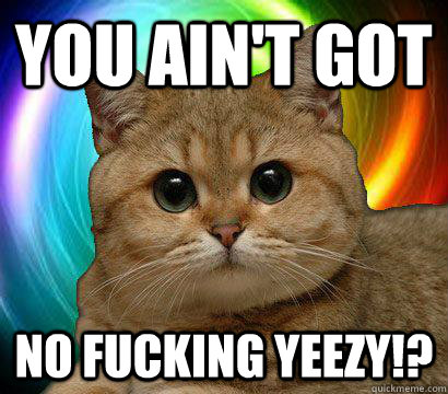 You ain't Got No fucking yeezy!?  