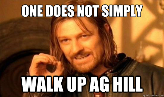 One Does Not Simply walk up ag hill  Boromir