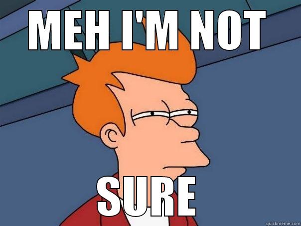 MEH I'M NOT SURE Futurama Fry