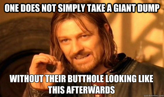 ONE DOES NOT SIMPLY TAKE A GIANT DUMP WITHOUT THEIR BUTTHOLE LOOKING LIKE THIS AFTERWARDS
  One Does Not Simply