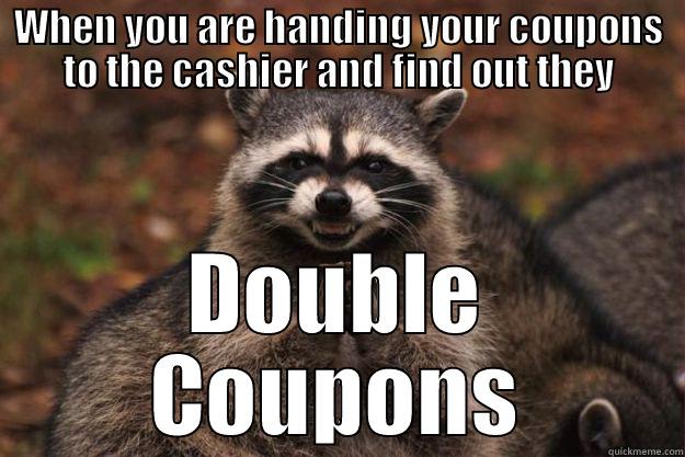 funny coupon humor - WHEN YOU ARE HANDING YOUR COUPONS TO THE CASHIER AND FIND OUT THEY DOUBLE COUPONS Evil Plotting Raccoon