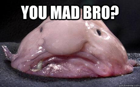 You mad bro?  - You mad bro?   Douchebag Blobfish