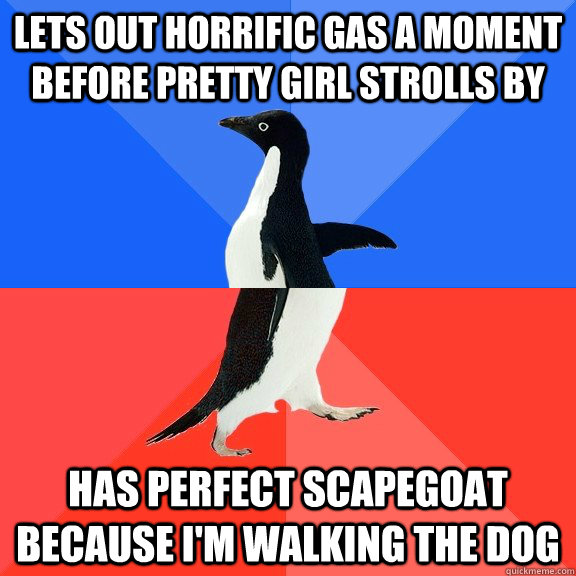 lets out horrific gas a moment before pretty girl strolls by has perfect scapegoat because I'm walking the dog  Socially Awkward Awesome Penguin
