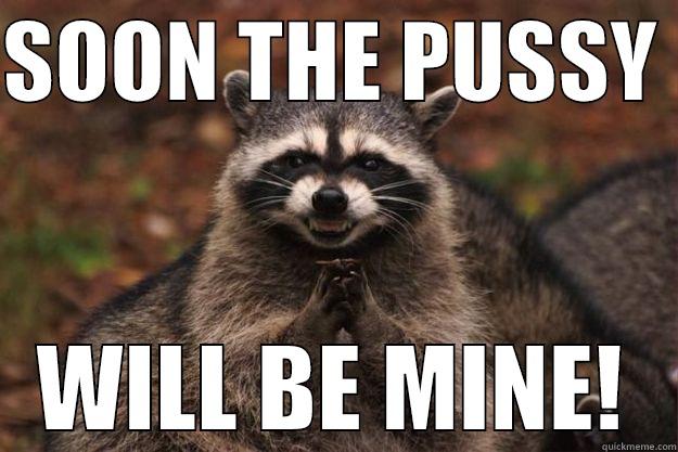 SOON THE PUSSY  WILL BE MINE! Evil Plotting Raccoon