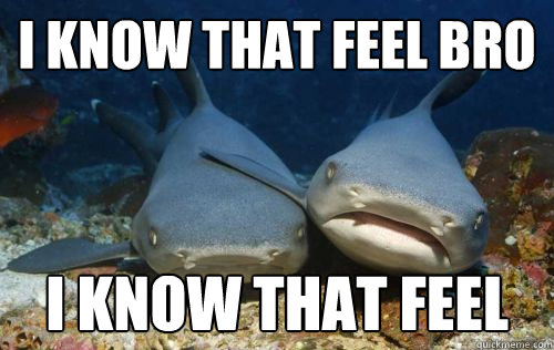 i know that feel bro i know that feel  Compassionate Shark Friend