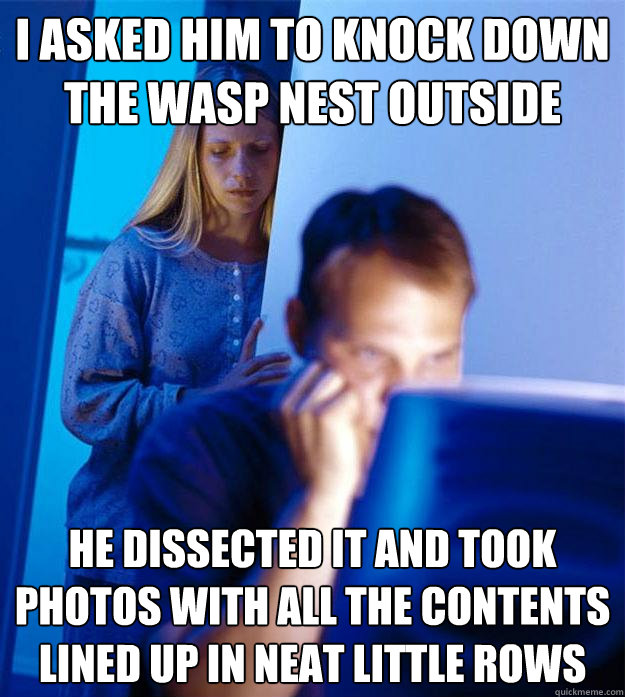 i asked him to knock down the wasp nest outside he dissected it and took photos with all the contents lined up in neat little rows  Redditors Wife