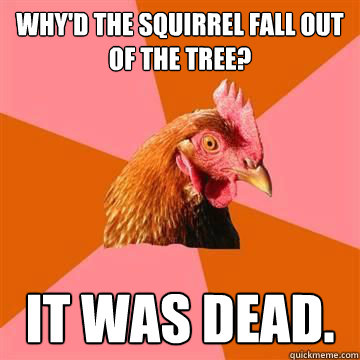 Why'd the squirrel fall out of the tree? It was dead.  Anti-Joke Chicken
