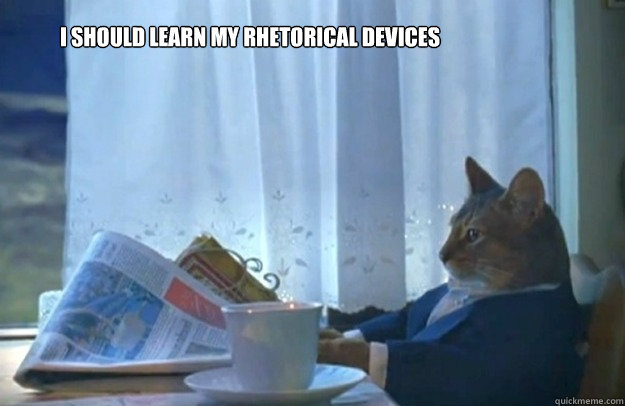 I should learn my rhetorical devices  Sophisticated Cat