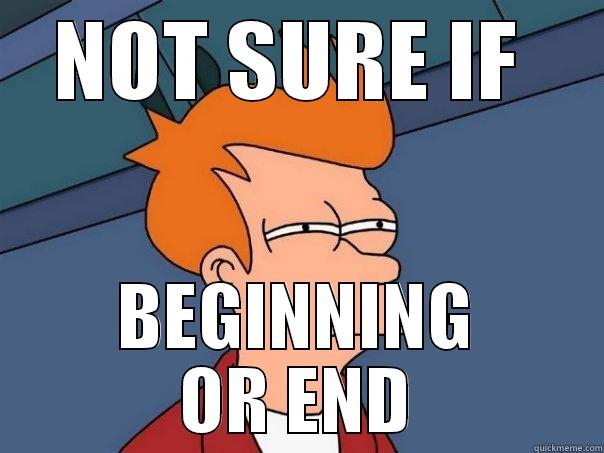 NOT SURE IF  BEGINNING OR END Futurama Fry