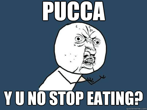 pucca y u no stop eating?  Y U No
