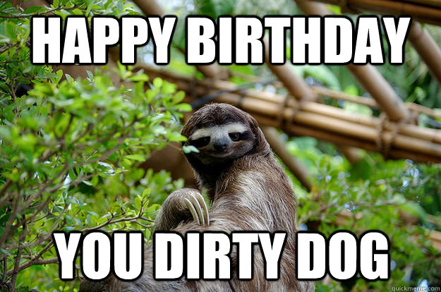 Happy Birthday  you dirty dog  Fabulous Sloth