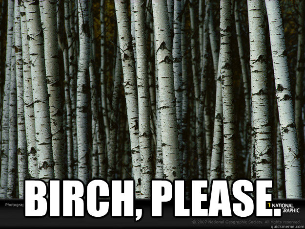  Birch, please. -  Birch, please.  birch tree meme