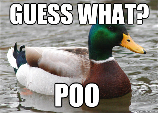 Guess what? poo  Actual Advice Mallard