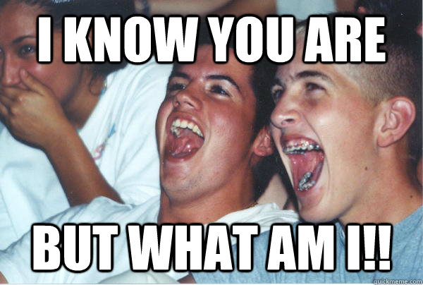 I know you are but what am i!!  Immature High Schoolers