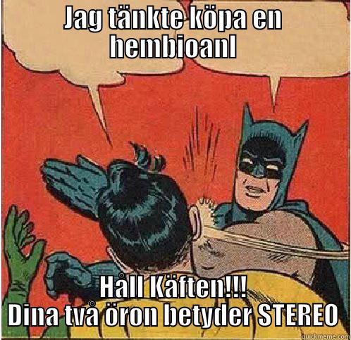 JAG TÄNKTE KÖPA EN HEMBIOANL HÅLL KÄFTEN!!! DINA TVÅ ÖRON BETYDER STEREO Batman Slapping Robin