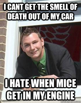 I cant get the smell of death out of my car I hate when mice get in my engine  