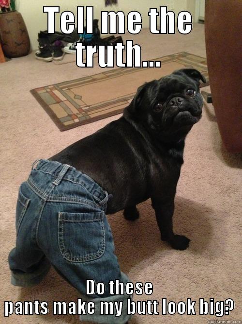 TELL ME THE TRUTH... DO THESE PANTS MAKE MY BUTT LOOK BIG? Misc