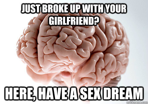 Just broke up with your girlfriend? here, have a sex dream  Scumbag Brain